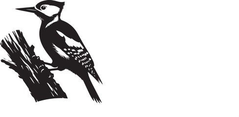vector silhouette of black woodpecker.