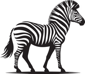  African zebra side and front view outline striped silhouette animal design flat vector illustration isolated on white background.