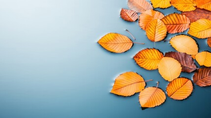 Obraz premium Vibrant orange leaves scattered against a soft blue background, capturing the essence of autumn's beauty and tranquility