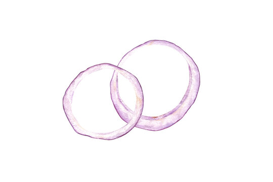purple onion rings watercolor on white clip art preview
