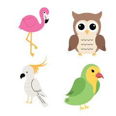 Four cute and colorful birds, a flamingo, an owl, a cockatoo, and a parrot are depicted in this illustration.