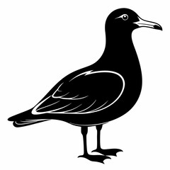 Seagull Black Vector silhouette