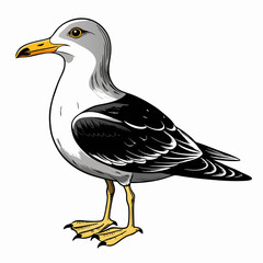 Seagull Black Vector silhouette