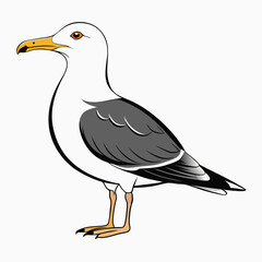 Seagull Black Vector silhouette