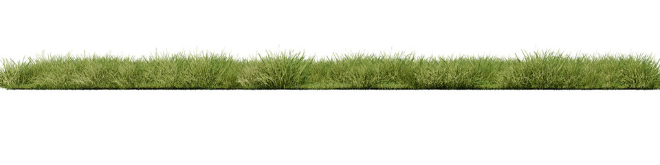 Fototapeta premium Grass, Front view without background and environment, png