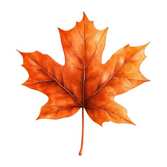 Fototapeta premium A vibrant orange maple leaf showcasing autumn beauty and natural texture, perfect for seasonal or nature-themed designs.