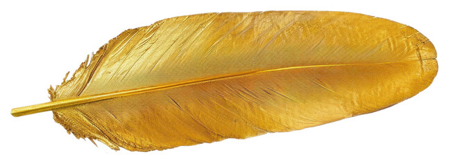 PNG  Golden feather on white background