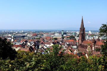 Obraz premium Blick aufs Freiburger Münster im Sommer