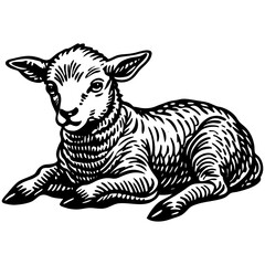 Fototapeta premium Line art sheep vector, line cut sheep, silhouette vector illustration. sheep line art silhouette sketch black and white