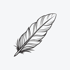 Obraz premium feather isolated on white background