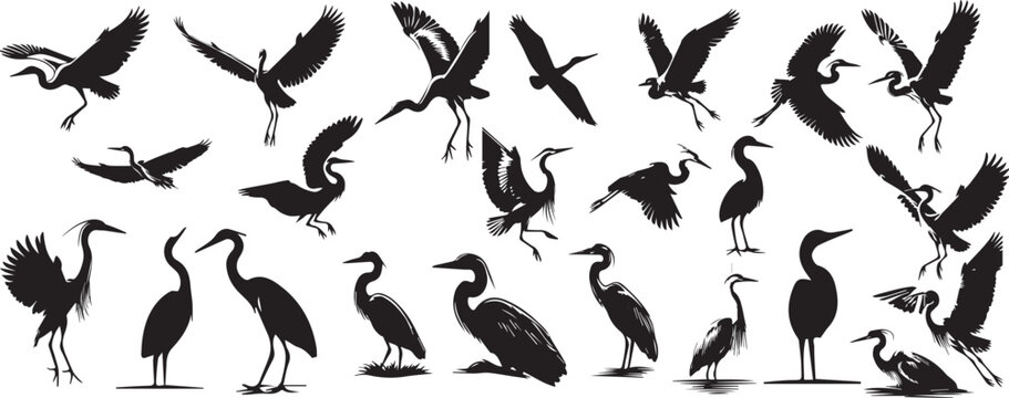 heron silhouettes vector art