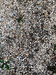 Smooth round pebbles texture background. Pebble sea beach close-up, dark wet pebble and gray dry pebble