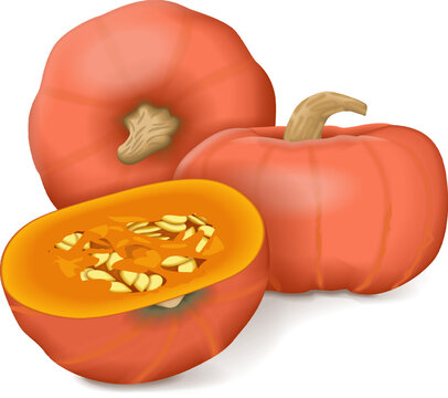 orange pumpkins, one cut open, white background clip art preview