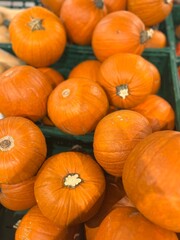 round orange pumpkin in supermarket before halloween . top view sweet vegetable