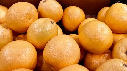 side view of many orange ripe grapefruits. citrus fruits