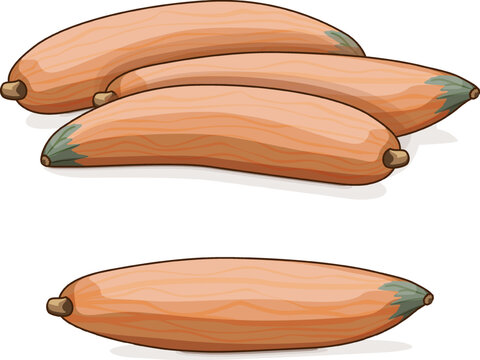 orange zucchini vegetables, cartoon style, white background clip art preview