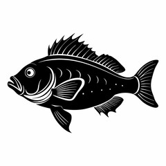 Wrasse Black Vector silhouette