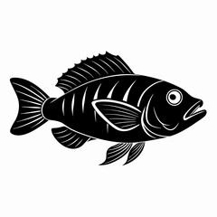 Wrasse Black Vector silhouette