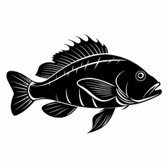 Wrasse Black Vector silhouette