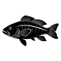 Wrasse Black Vector silhouette
