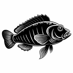 Wrasse Black Vector silhouette