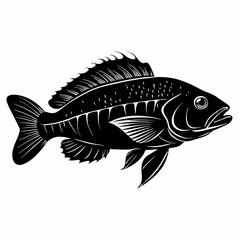 Wrasse Black Vector silhouette
