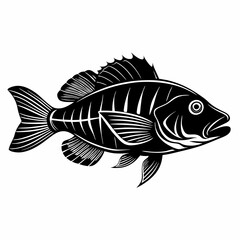 Wrasse Black Vector silhouette