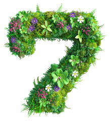 PNG  7 Number flower green blossom.