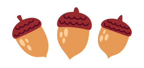Acorn set. Oak nut, seed. Autumn cozy decoration elements. Flat Vector illustration isolated on white background © Marta Sher