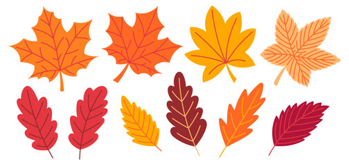 Autumn leaves cozy design elements. Fall foliage set. Flat Vector illustration isolated on white background