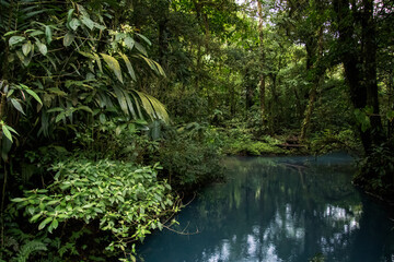 Río Celeste, Parque Nacional Volcán Tenorio, Costa Rica