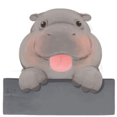 Baby hippo