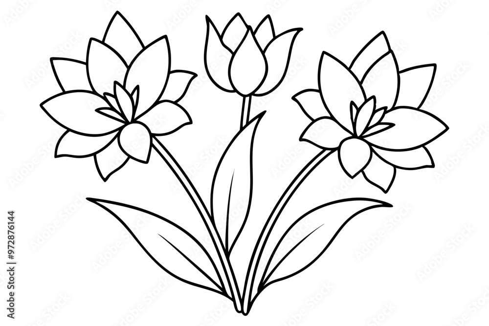 Poster Tulip flower line art