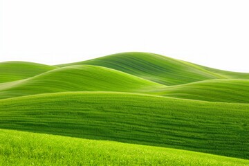 Obraz premium rolling green hills, vibrant green grass, isolated on white background