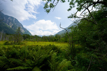 上高地の風景