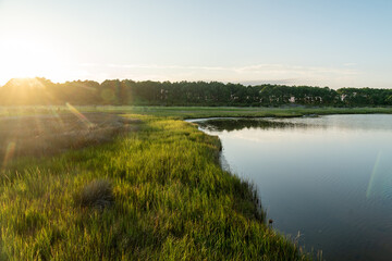 Coastal wetlands and marsh of Cape Hatteras National Seashore - Outer Banks North Carolina