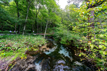 Obraz premium 上高地の風景