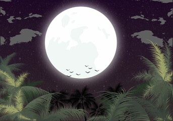 Beautiful background pictures