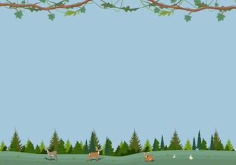 Beautiful background pictures