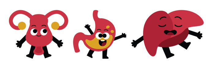 A cartoon illustration of human organs with funny faces. The organs are drawn in a cute and playful style, with the uterus, stomach, and liver depicted as characters with big eyes and smiles.