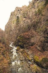 Obraz premium A gentle stream glides over smooth stones, winding between rocky cliffs and dry trees. The landscape radiates tranquility, showcasing nature's autumn palette