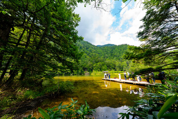 上高地 明神池の風景