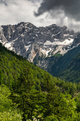 Fototapeta premium Alpine Mountains in Slovenia at summer, green hills and snowy peaks