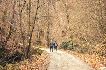 Two people wander along a gravel path in an autumn forest, surrounded by tall, leafless trees and a carpet of brown leaves, enjoying the tranquility of nature