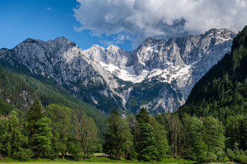 Fototapeta premium Alpine landscape at Zgorne Jezersko village in Slovenia at summer