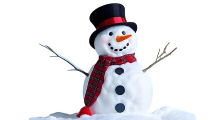 Fototapeta premium Snowman