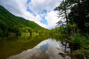 上高地 明神池の風景