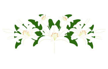 white illy half round wreath illustration