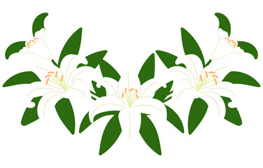 white illy half round wreath illustration