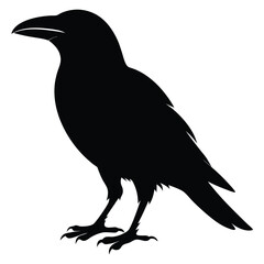 Fototapeta premium Vector Crow Silhouette Design Black Bird Illustrations. 